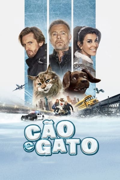 Cão e Gato (2024) Torrent Dublado Downloads